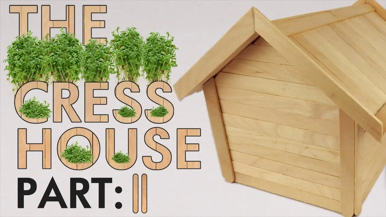 The Cress House follow up