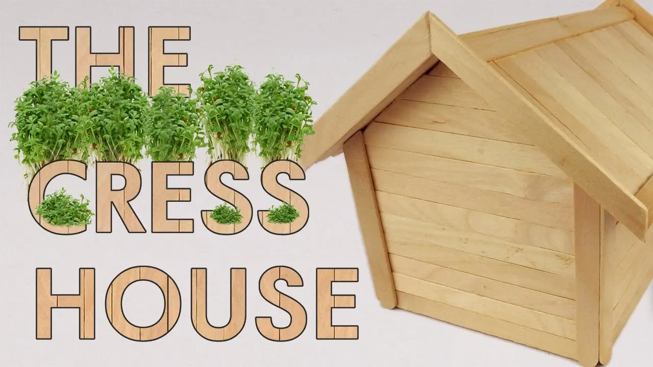 The Cress House time lapse