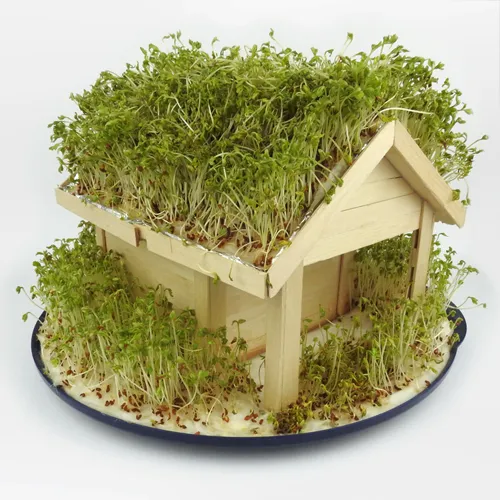 Cress House